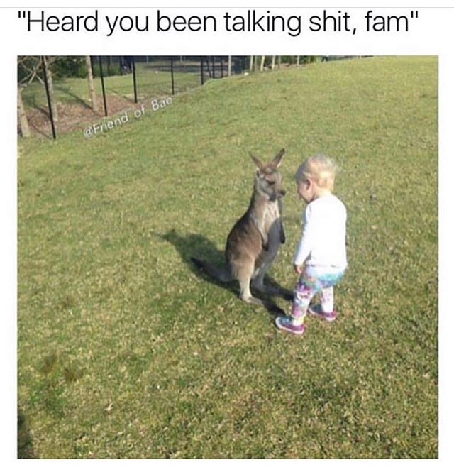 meme kangaroo vs kid -