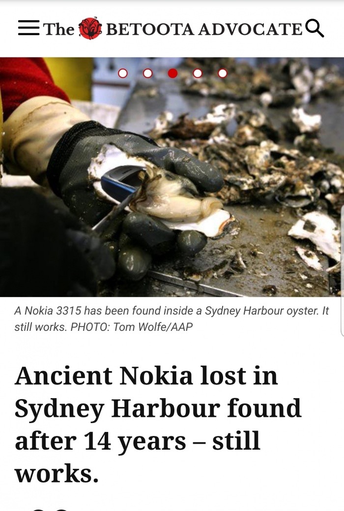 meme nokia 3315 memes - The Betoota Advocateq A Nokia 3315 has been found inside a Sydney Harbour oyster. It still works.  Ancient Nokia lost in Sydney Harbour found after 14 years still works.