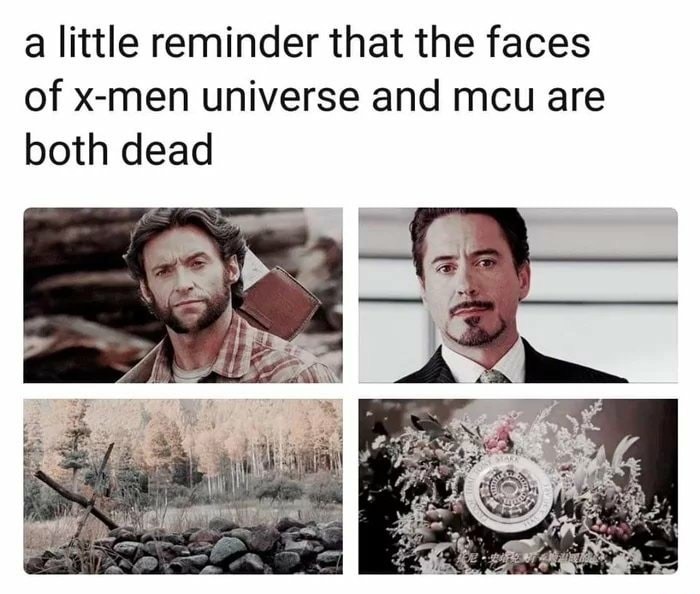 meme tony stark - a little reminder that the faces of xmen universe and mcu are both dead