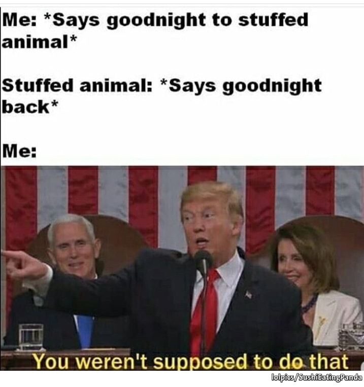 meme you weren t supposed to do that meme - Me Says goodnight to stuffed animal Stuffed animal Says goodnight back Me You weren't supposed to do that lolpicsSushiEating Panda