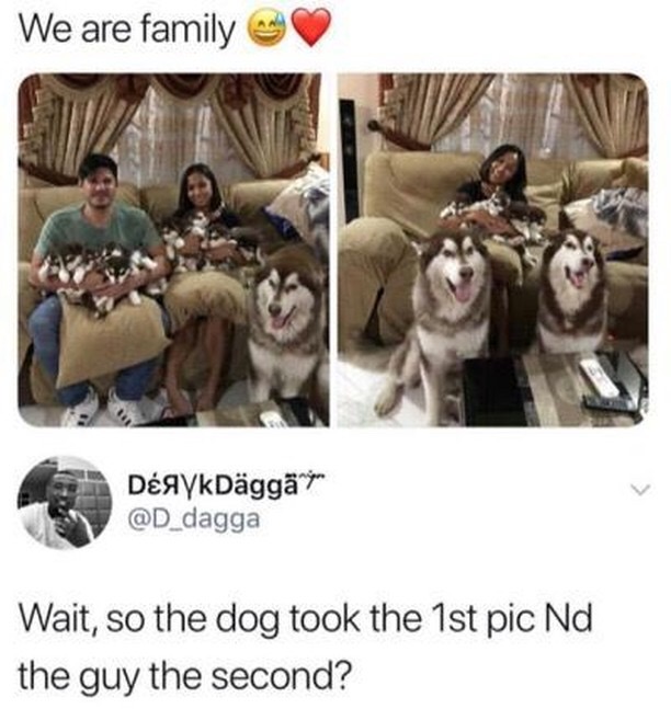 meme We are family DAYKDgg ir Wait, so the dog took the 1st pic Nd the guy the second?
