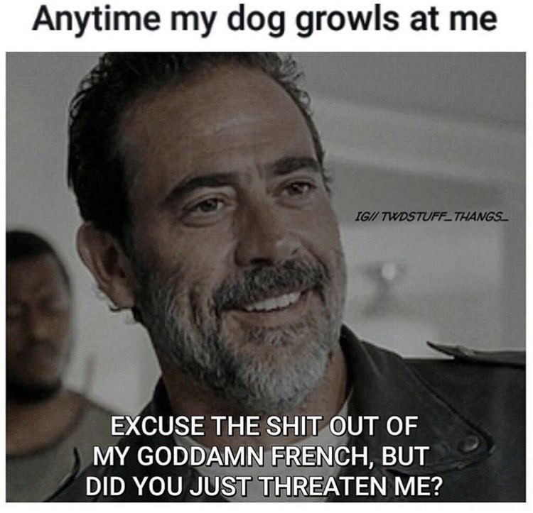 excuse the shit out of my goddamn french - Anytime my dog growls at me Igi TWDSTUFF_THANGS_ Excuse The Shit Out Of My Goddamn French, But Did You Just Threaten Me?