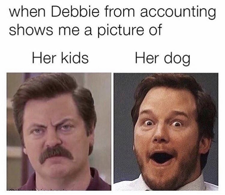 someone shows me a photo of their kid - when Debbie from accounting shows me a picture of Her kids Her dog