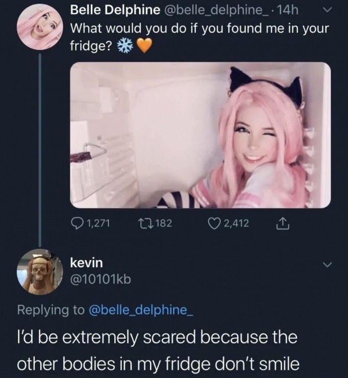 Internet meme - Belle Delphine . 14h v What would you do if you found me in your fridge? Q1,271 27182 2,412 kevin I'd be extremely scared because the other bodies in my fridge don't smile