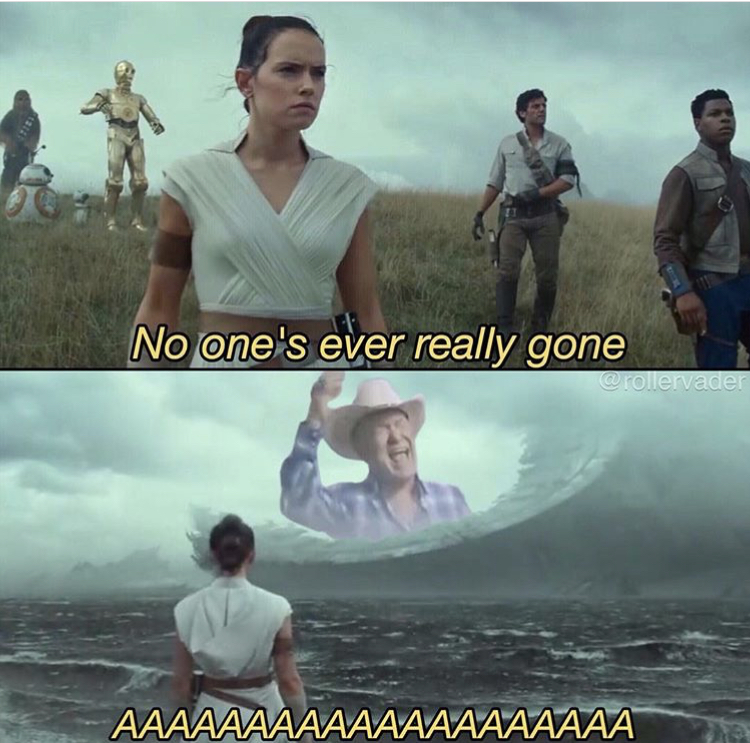 star wars the rise of skywalker memes - No one's ever really gone