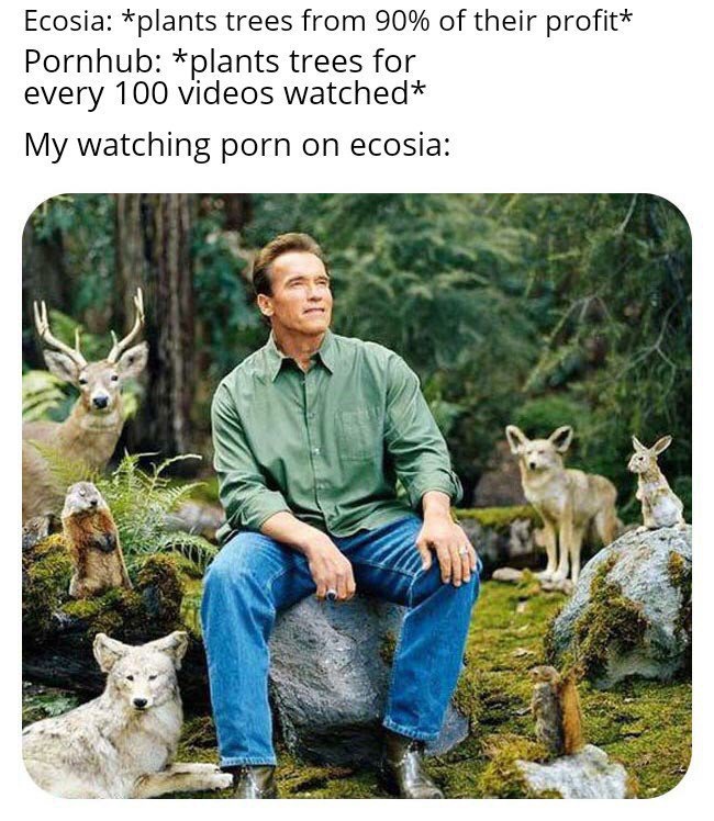arnold schwarzenegger meme - Ecosia plants trees from 90% of their profit Pornhub plants trees for every 100 videos watched My watching porn on ecosia