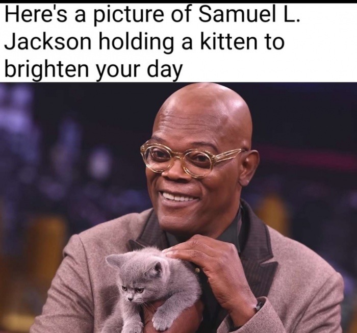 samuel jackson 70 - Here's a picture of Samuel L. Jackson holding a kitten to brighten your day