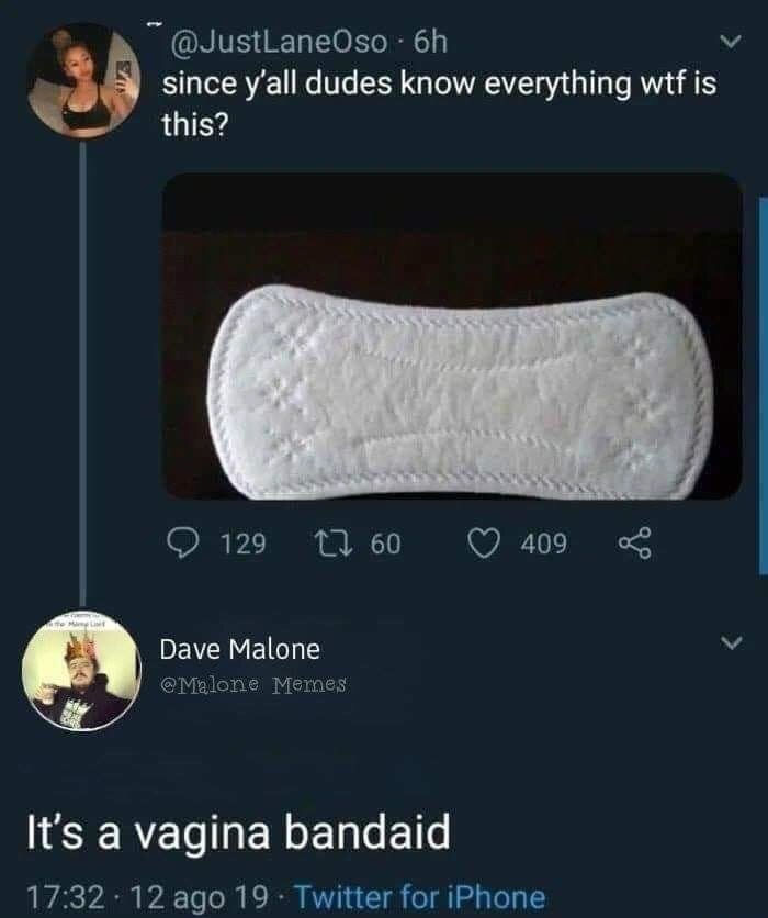 Meme - 3 since yani due 6h since y'all dudes know everything wtf is this? 129 12 60 409 Dave Malone Dave Malone Memes It's a vagina bandaid 12 ago 19. Twitter for iPhone