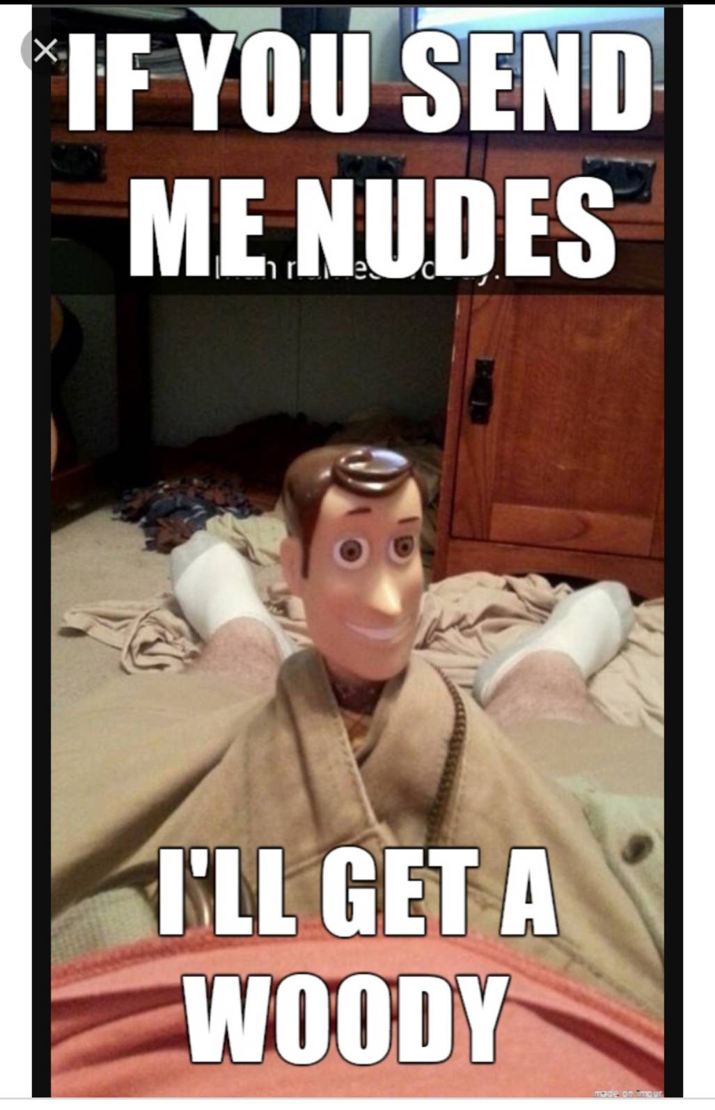 photo caption - If You Send Me Nudes I'Ll Get A Woody.