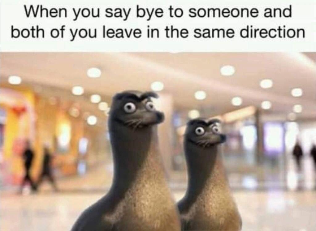 you say bye to someone and both - When you say bye to someone and both of you leave in the same direction