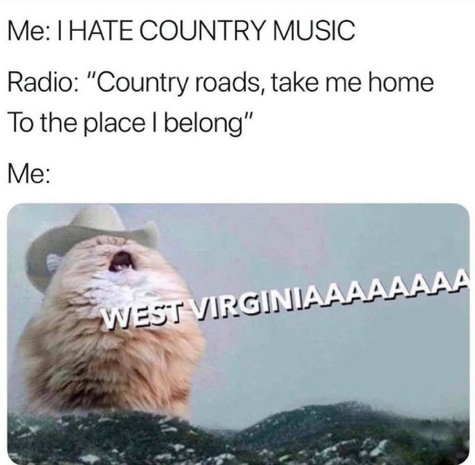 yee haw cat - Me I Hate Country Music Radio "Country roads, take me home To the place I belong" Me West Virginiaaaaaaaa