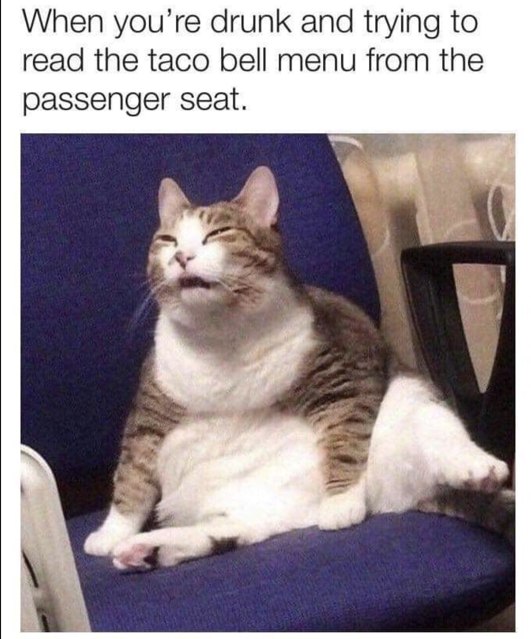 taco bell meme - When you're drunk and trying to read the taco bell menu from the passenger seat.