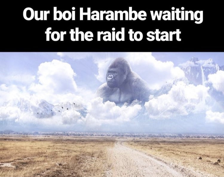 harambe in clouds