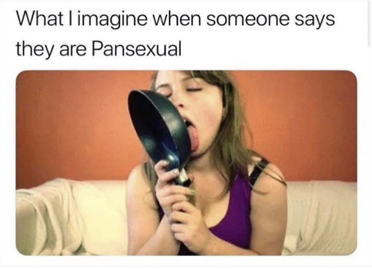 photo caption - What I imagine when someone says they are Pansexual