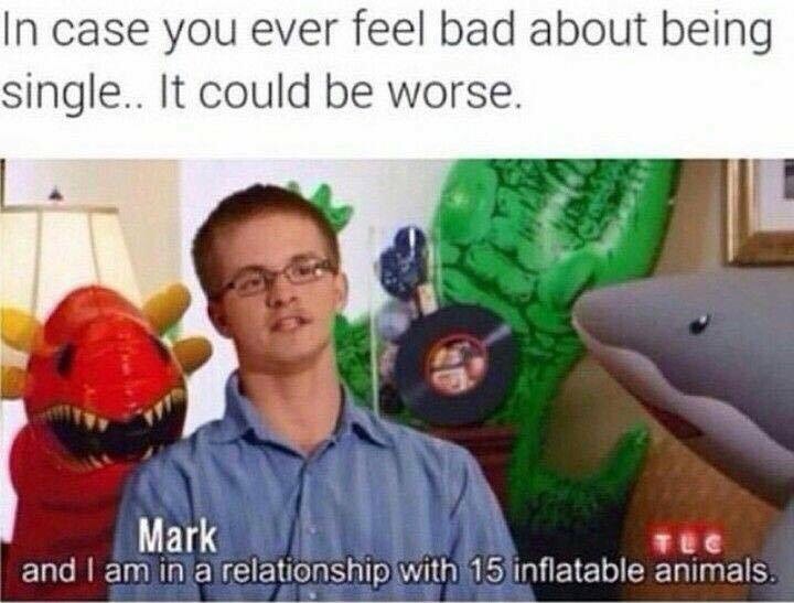 being single memes - In case you ever feel bad about being single.. It could be worse. Mark and I am in a relationship with 15 inflatable animals.