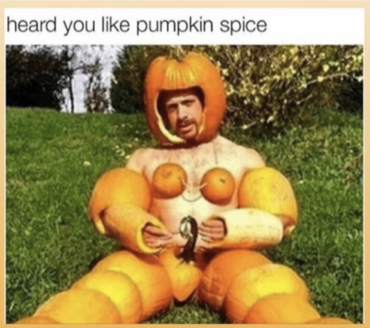 heard you like pumpkin spice - heard you pumpkin spice