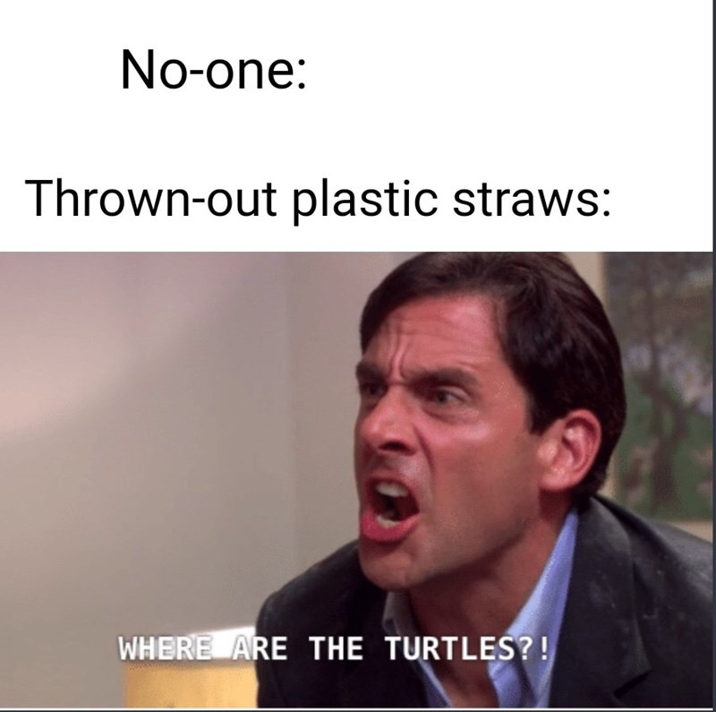 office where are the turtles - Noone Thrownout plastic straws Where Are The Turtles?!