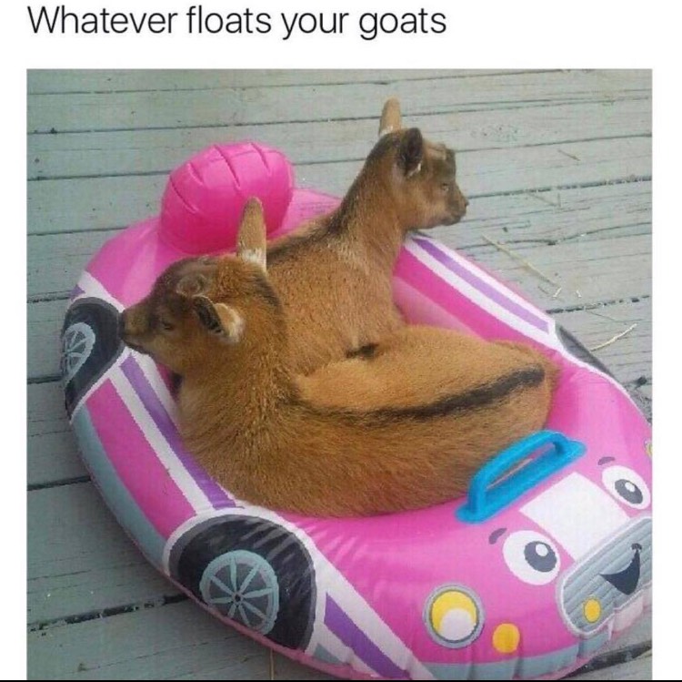 whatever floats your goats - Whatever floats your goats