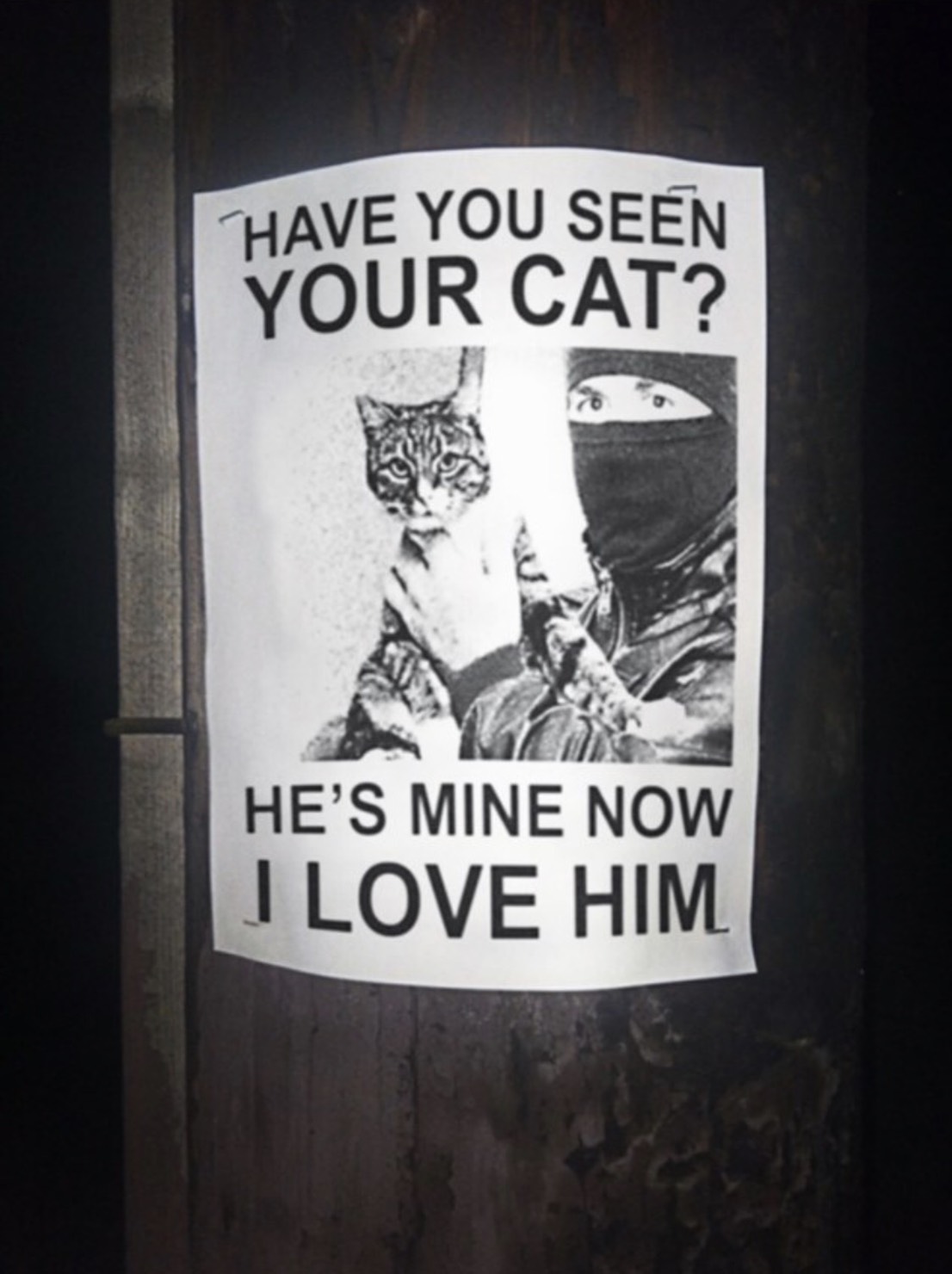 have you seen your cat he's mine now i love him - Have You Seen Your Cat? He'S Mine Now I Love Him