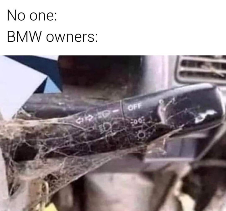 humpday meme - bmw indicator meme - No one Bmw owners