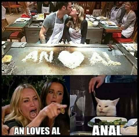 humpday meme - gamestop cat meme - An Loves Al Anat