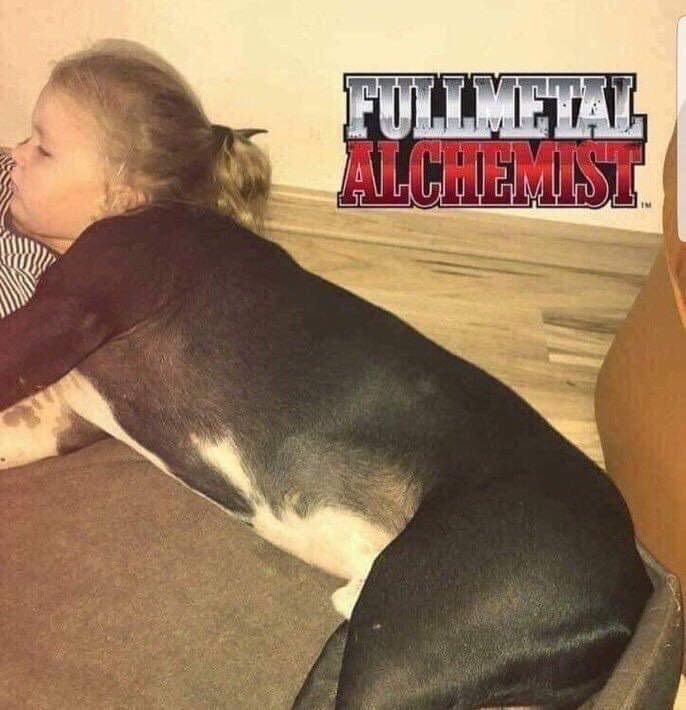 fullmetal alchemist cursed