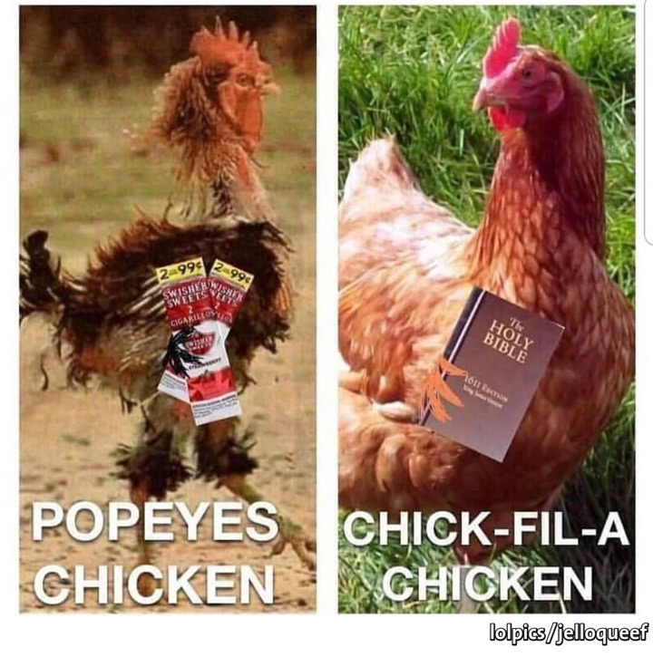 chick fil a chicken bible - 9942996 2996 Cigarillos Th Holy Bible 1011 Popeyes ChickFilA Chicken Chicken lolpicsjelloqueef