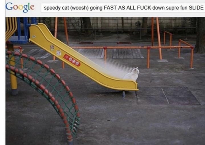 speedy cat woosh going fast as all fuck down supre fun slide - Google speedy cat woosh going Fast As All Fuck down supre fun Slide