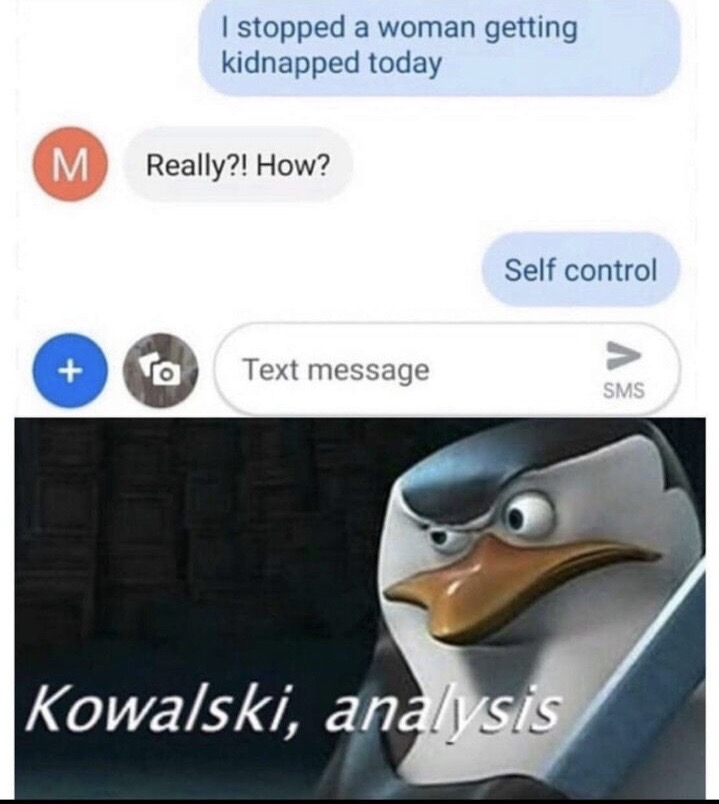 penguins of madagascar - I stopped a woman getting kidnapped today Really?! How? Self control Text message Text message Sms Kowalski, analysis