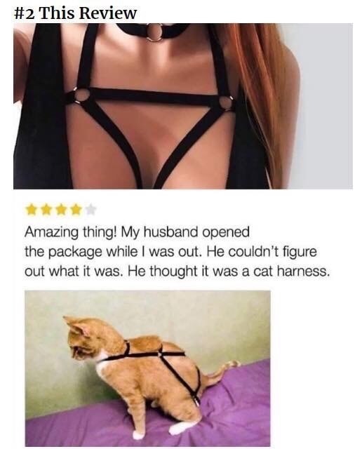 he thought it was a cat harness - This Review Amazing thing! My husband opened the package while I was out. He couldn't figure out what it was. He thought it was a cat harness.