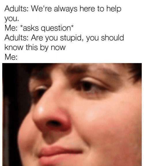 relatable funny memes - Adults We're always here to help you. Me asks question Adults Are you stupid, you should know this by now Me