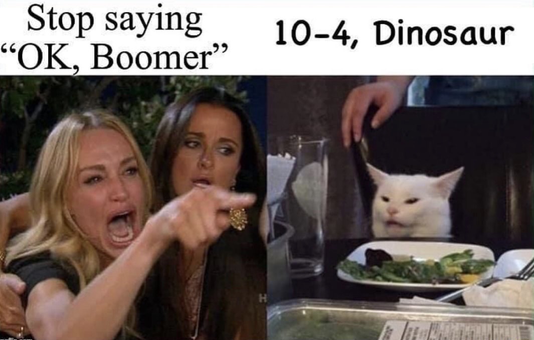 woman yelling at cat meme hoe - Stop saying Ok, Boomer" 104, Dinosaur