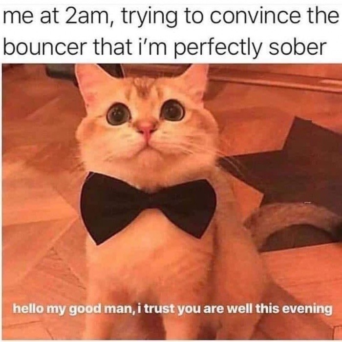 Instagram - me at 2am, trying to convince the bouncer that i'm perfectly sober hello my good man, i trust you are well this evening