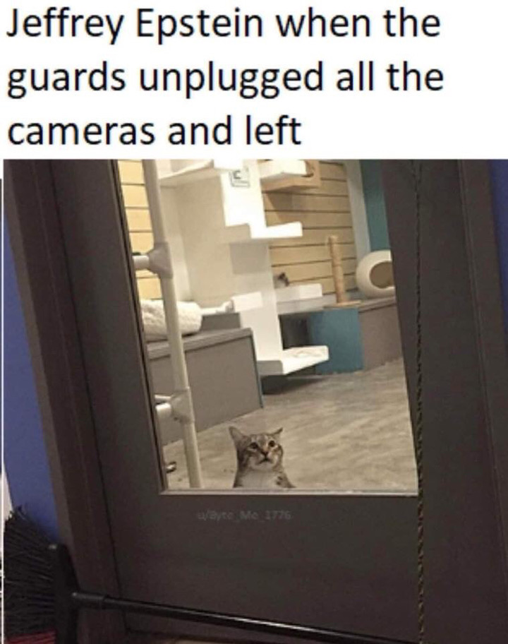 cat solitary confinement - Jeffrey Epstein when the guards unplugged all the cameras and left