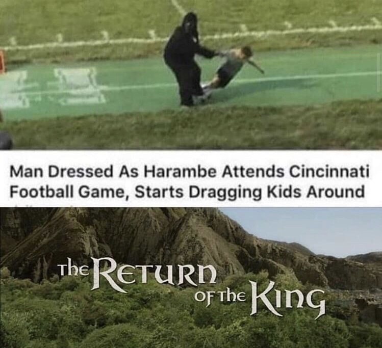 man dressed as harambe attends football game - Man Dressed As Harambe Attends Cincinnati Football Game, Starts Dragging Kids Around fo The Return of the King