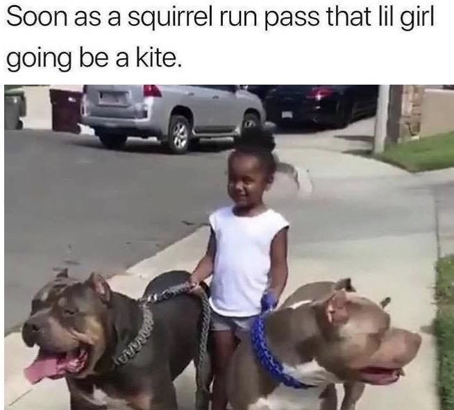 soon as squirrel run past girl kite - Soon as a squirrel run pass that lil girl going be a kite.