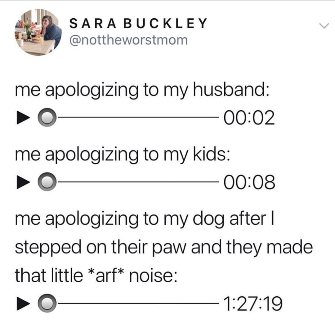 lived bitch i laughed bitch i loved bitch - Sara Buckley me apologizing to my husband me apologizing to my kids O me apologizing to my dog after | stepped on their paw and they made that little arf noise 19