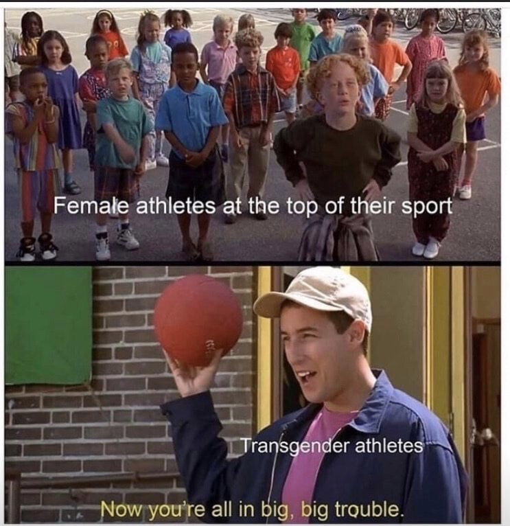 cap - Female athletes at the top of their sport Transgender athletes Now you're all in big, big trouble.