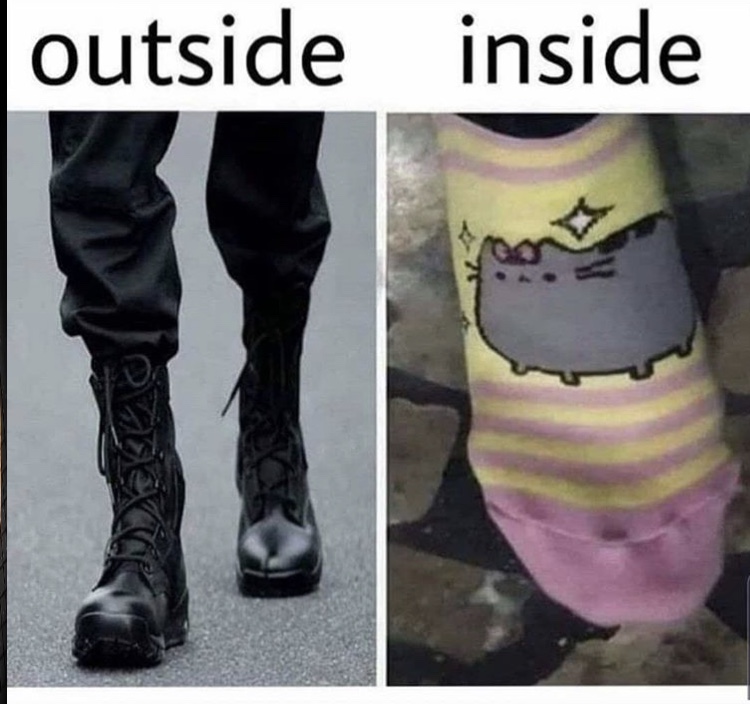 pusheen socks meme - outside inside