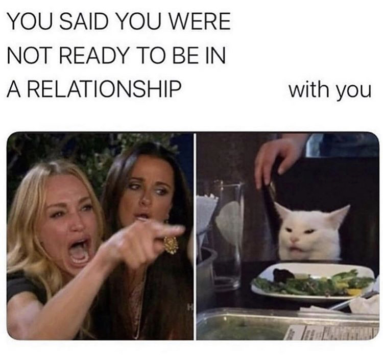 woman yelling at cat meme - You Said You Were Not Ready To Be In A Relationship with you