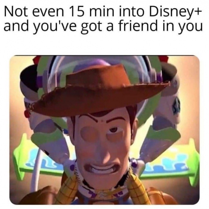 disney+ meme - Not even 15 min into Disney and you've got a friend in you