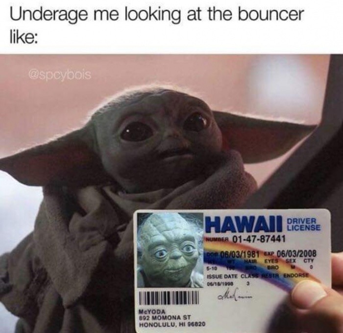 baby yoda meme - Underage me looking at the bouncer Hawaii Dresse Driver License Number 014787441 Doe 06031981 Exp 06032008 Hair Eyes Sex Cty 510 Rodro Issue Date Class Restr Endorse 06121998 a Morum MeYODA 892 Momona St Honolulu, Hi 96820