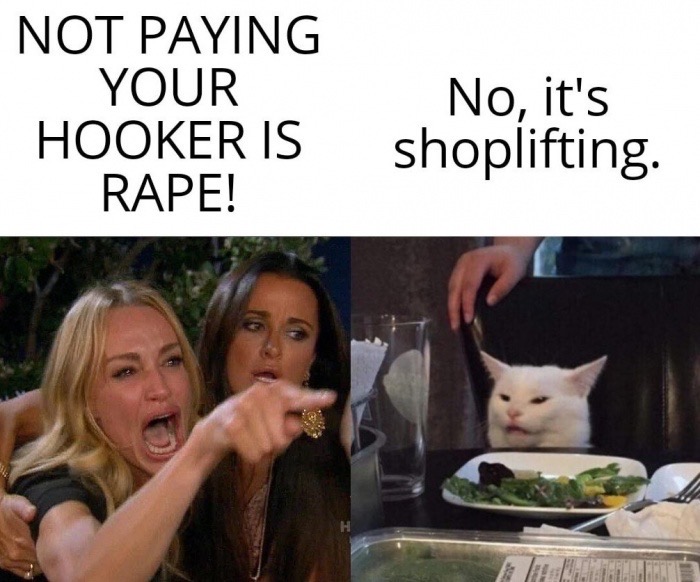 woman yelling at cat pronunciation meme - Not Paying Your Hooker Is Rape! No, it's shoplifting.