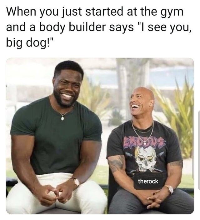 kevin hart and the rock - When you just started at the gym and a body builder says "I see you, big dog!" therock