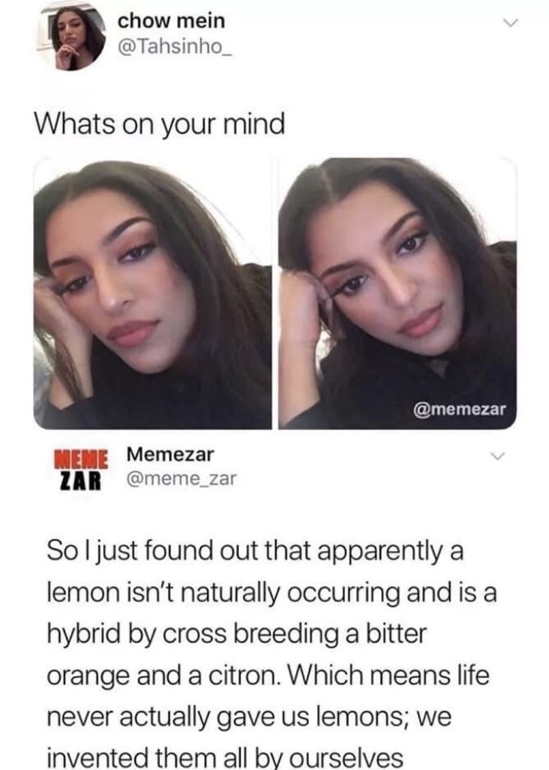 memezar memes - chow mein Whats on your mind Meme Memezar Zar So I just found out that apparently a lemon isn't naturally occurring and is a hybrid by cross breeding a bitter orange and a citron. Which means life never actually gave us lemons; we invented