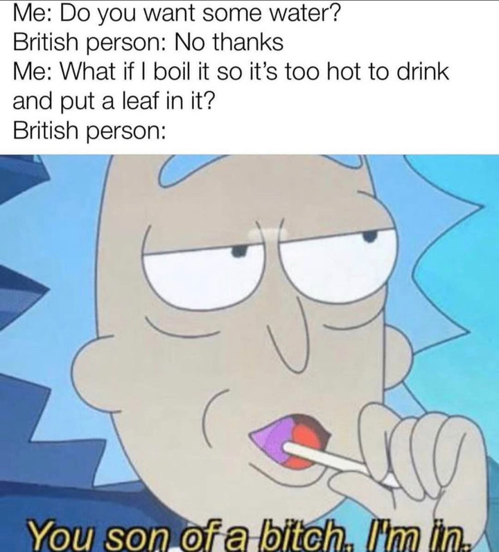 Meme - Me Do you want some water? British person No thanks Me What if I boil it so it's too hot to drink and put a leaf in it? British person You son of a bitch. I'm in