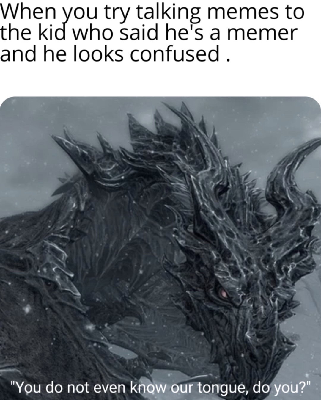 skyrim alduin skull - When you try talking memes to the kid who said he's a memer and he looks confused. "You do not even know our tongue, do you?"