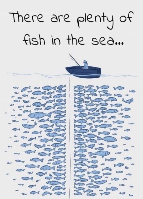 crush jokes quotes - There are plenty of fish in the sea... D Od 09 Dy Ro 4