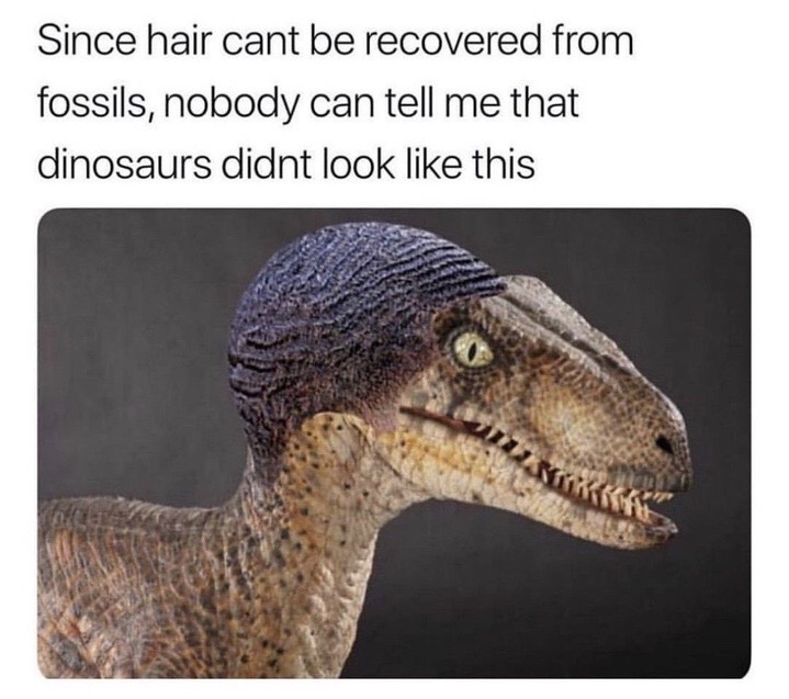 dinosaurs with hair meme - Since hair cant be recovered from fossils, nobody can tell me that dinosaurs didnt look this