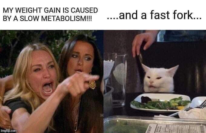 woman yelling at cat christmas meme - My Weight Gain Is Caused By A Slow Metabolism!!! ..and a fast for. imgflip.com
